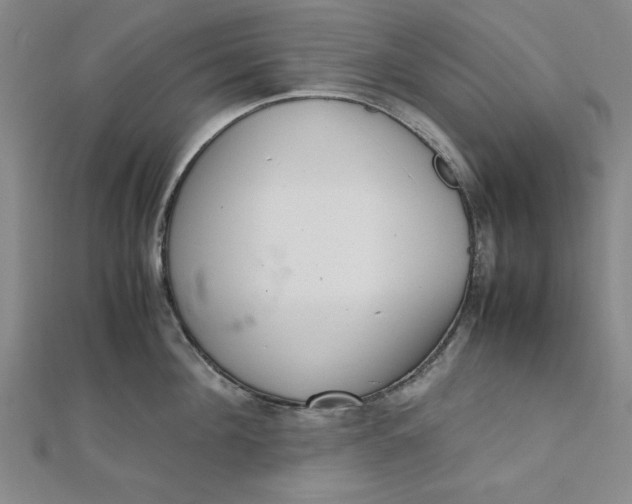 X0000111660908200907311135