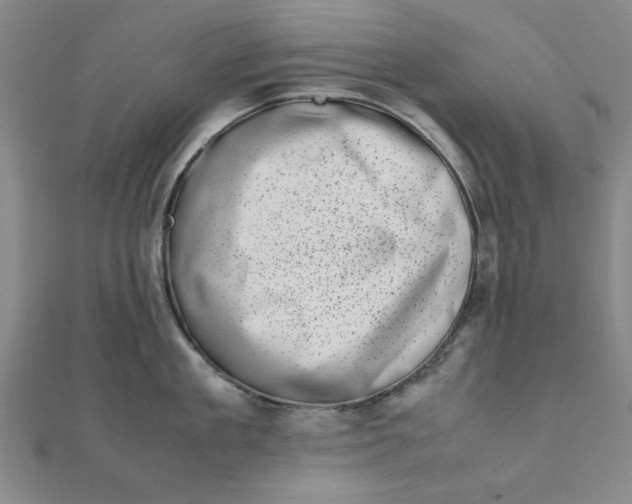 X0000111660909200907311135