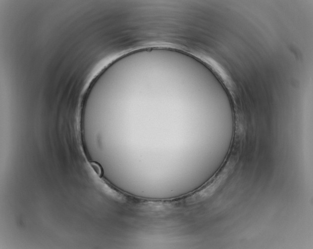 X0000111660910200907311135