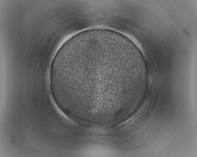 X0000111660911200907311135