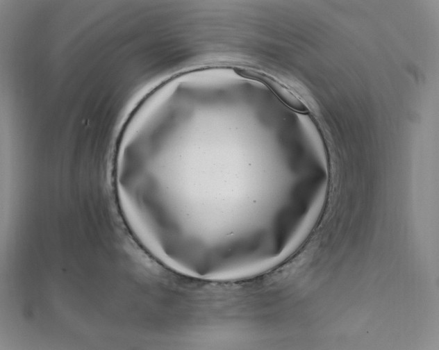 X0000111660912200907311135