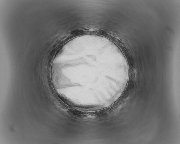 X0000111660913200907311135