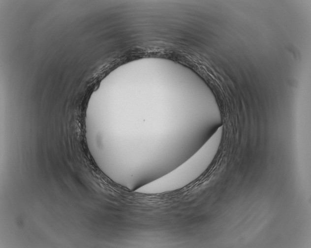 X0000111660916200907311135