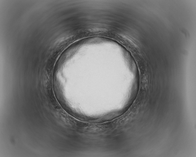 X0000111660917200907311135