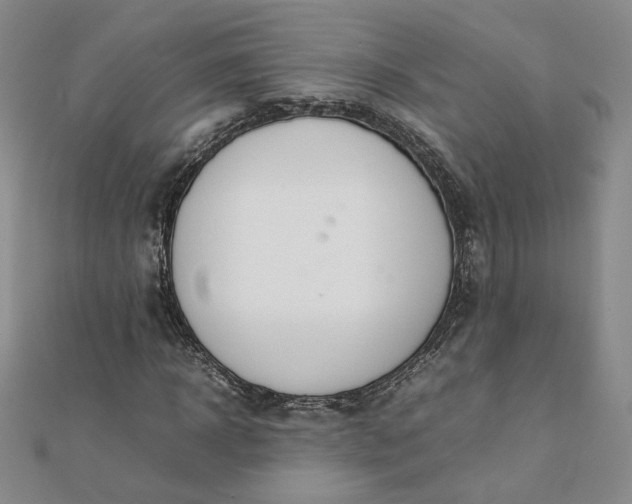 X0000111660918200907311135