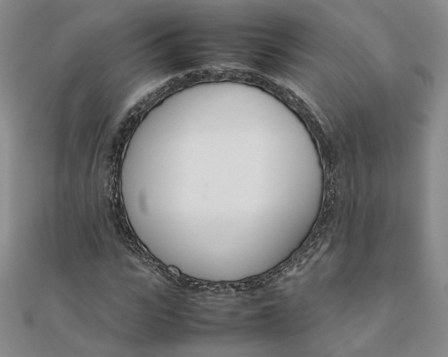 X0000111660919200907311135