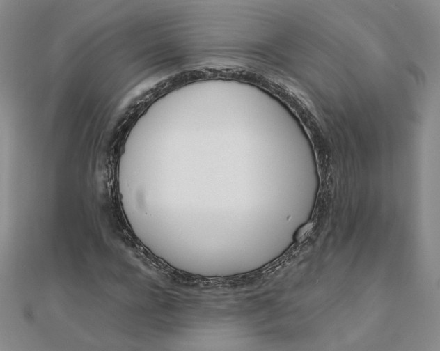 X0000111660920200907311135