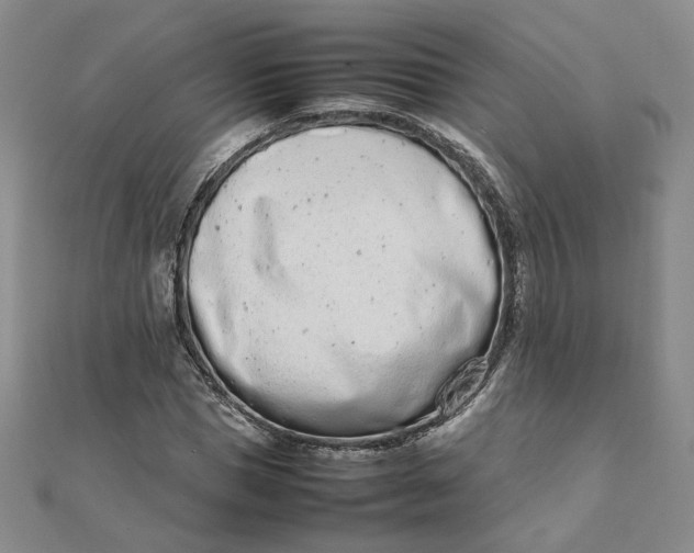 X0000111660921200907311135