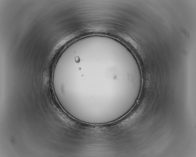 X0000111660922200907311135