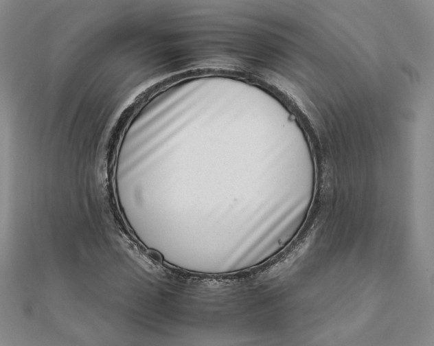 X0000111660923200907311135