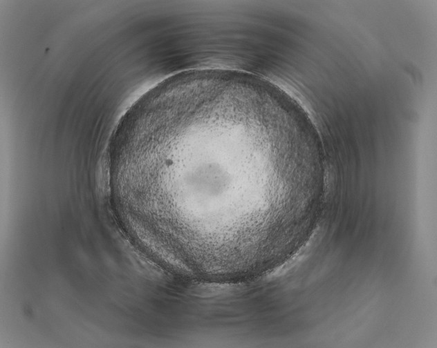 X0000111660925200907311135