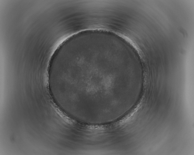 X0000111660927200907311135