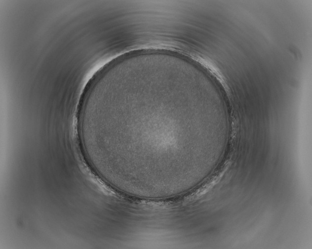 X0000111660928200907311135