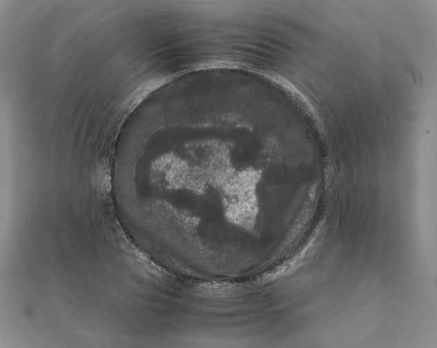 X0000111660929200907311135