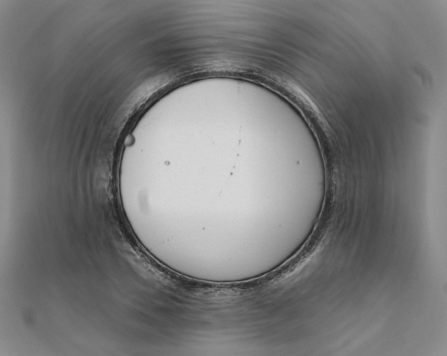 X0000111660930200907311135