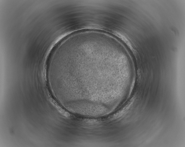 X0000111660931200907311135