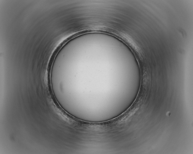 X0000111660932200907311135