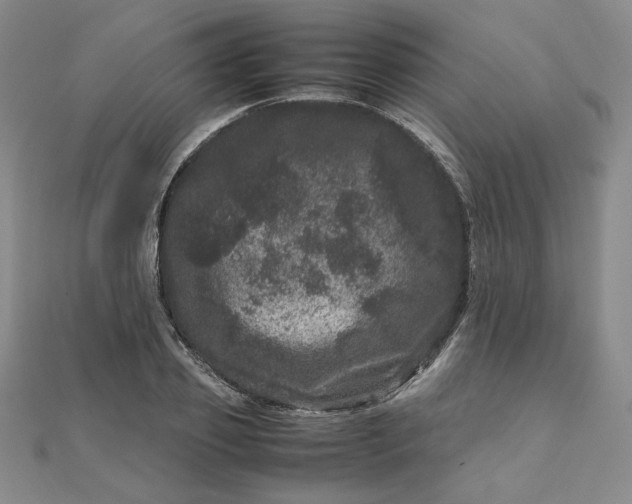 X0000111660933200907311135