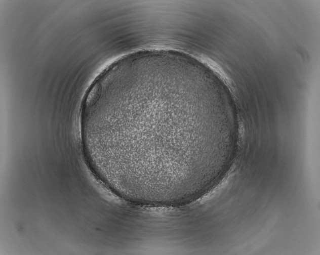 X0000111660934200907311135