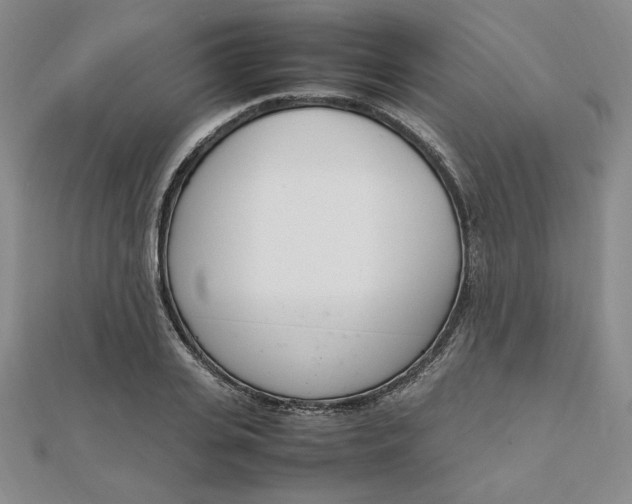 X0000111660935200907311135