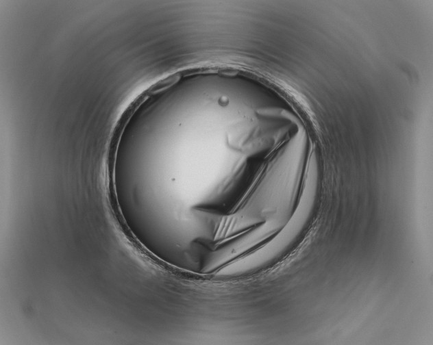 X0000111660936200907311135