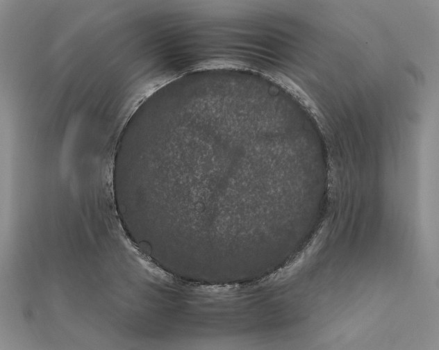 X0000111660937200907311135