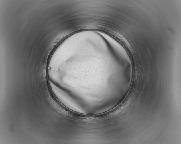 X0000111660938200907311135