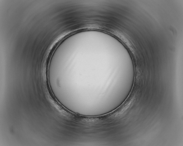 X0000111660939200907311135