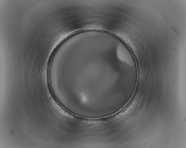 X0000111660941200907311135