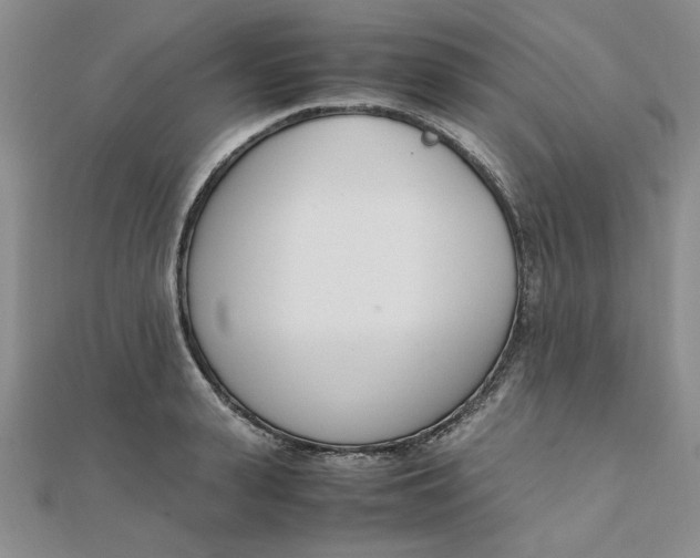 X0000111660943200907311135