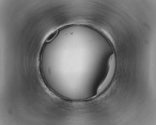 X0000111660944200907311135