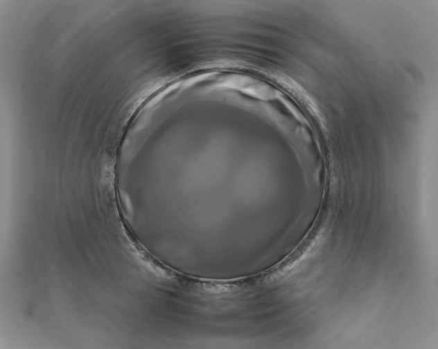 X0000111660945200907311135