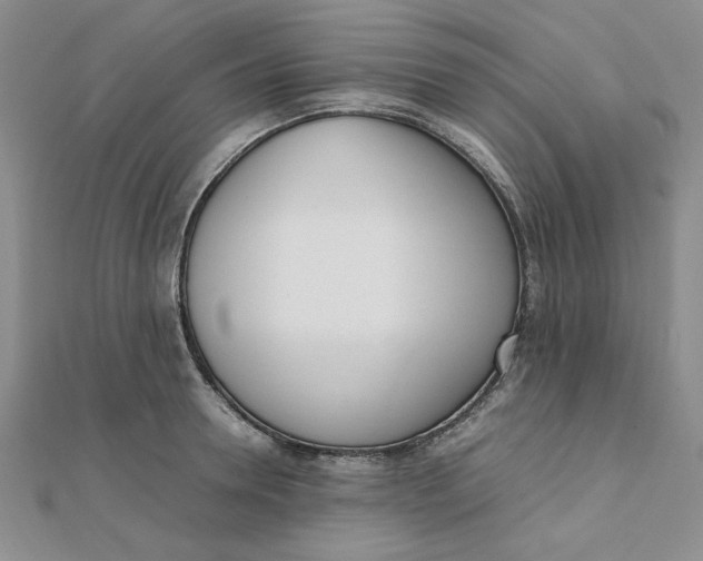 X0000111660946200907311135