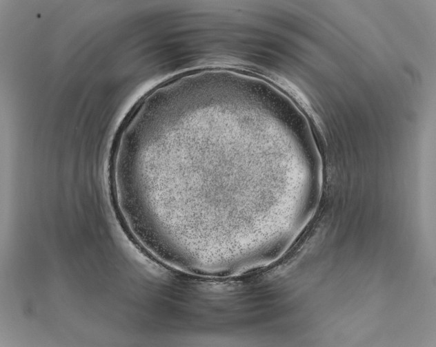 X0000111660947200907311135