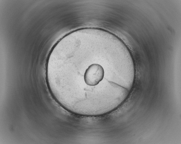 X0000111660950200907311135