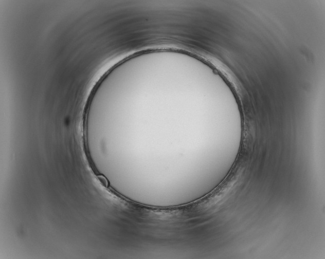 X0000111660951200907311135