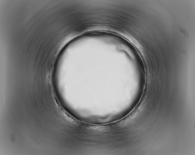 X0000111660953200907311135