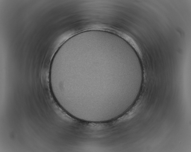 X0000111660954200907311135