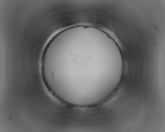 X0000111660955200907311135