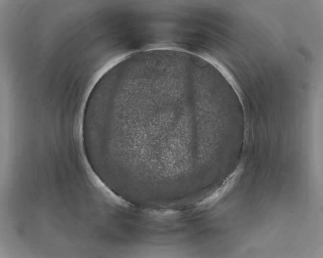 X0000111660957200907311135