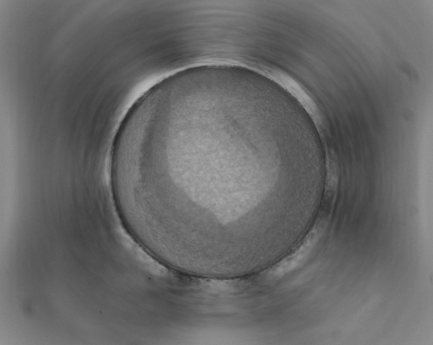 X0000111660958200907311135