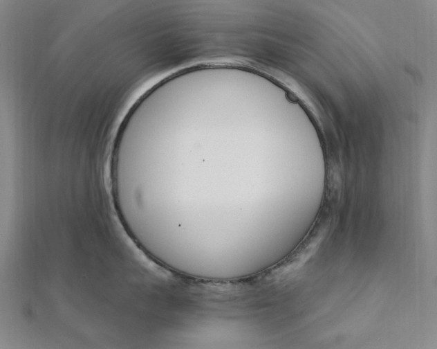 X0000111660959200907311135