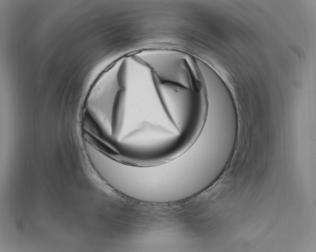 X0000111660960200907311135