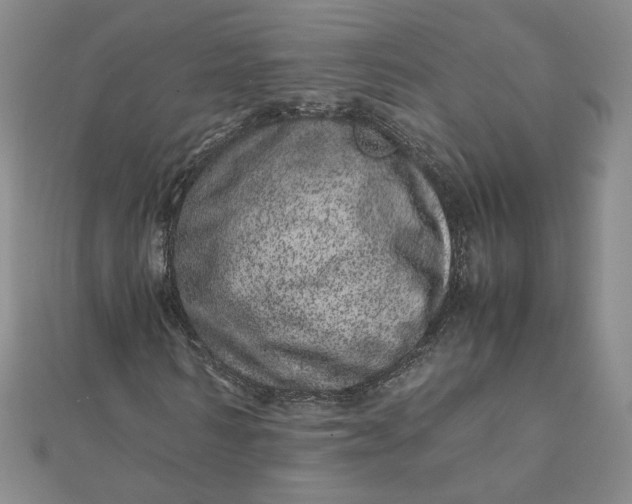 X0000111660962200907311135