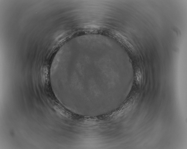 X0000111660964200907311135