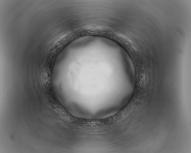 X0000111660966200907311135