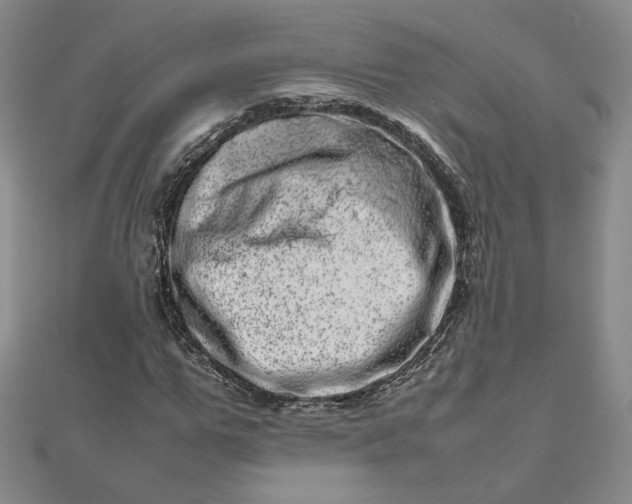 X0000111660967200907311135