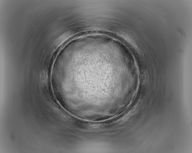 X0000111660969200907311135