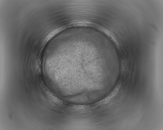 X0000111660970200907311135