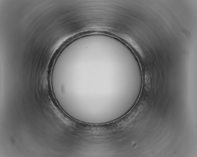 X0000111660972200907311134